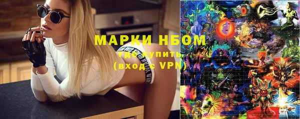 гидра Михайловка